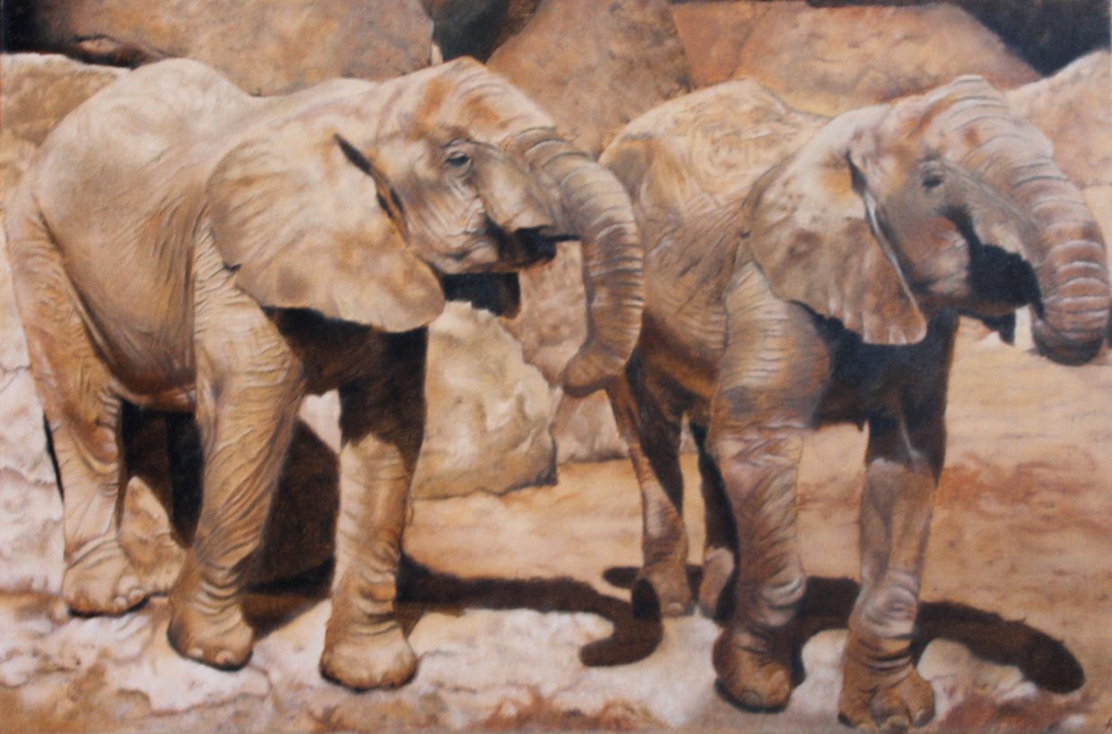 Helen Bugler | Oil | Elephants